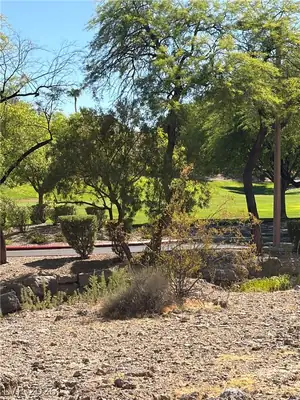 1901 Rio Canyon Court 202, Las Vegas, NV 89128 Yard
