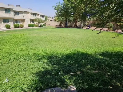 4972 Larkspur Street, Las Vegas, NV 89120 Yard