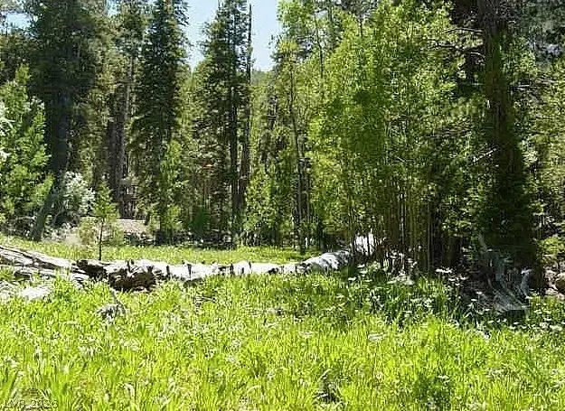 0 Deer Creek, Mount Charleston, NV 89124