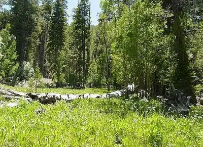 0 Deer Creek, Mount Charleston