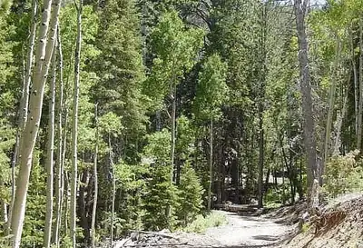 0 Deer Creek, Mount Charleston, NV 89124 