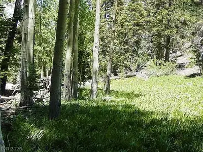 0 Deer Creek, Mount Charleston, NV 89124 