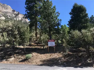 4878 Snow White Road Mount Charleston, NV 89124