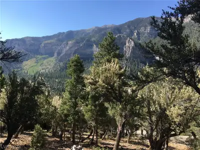 4878 Snow White Road, Mount Charleston, NV 89124 