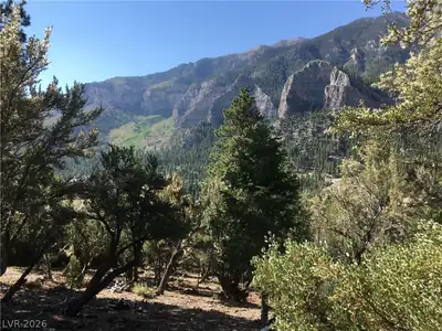 4878 Snow White Road, Mount Charleston, NV 89124 