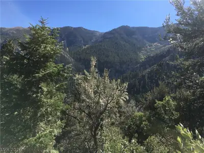 4878 Snow White Road, Mount Charleston, NV 89124 