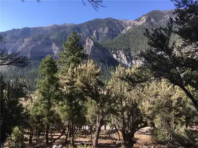 4878 Snow White Road, Mount Charleston, NV 89124 