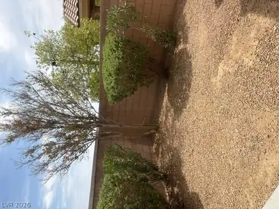 8116 Celina Hills Street, Las Vegas, NV 89131 Yard
