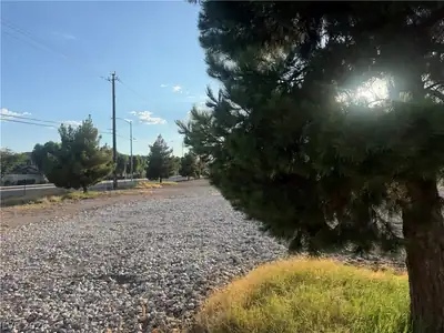 51 Madge Lane, Las Vegas, NV 89110 Yard