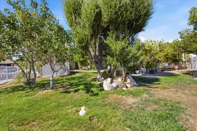 6305 Arcadia Avenue, Las Vegas, NV 89118 Yard