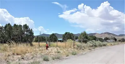 986 Bartolo Road, Pioche, NV 89043 Yard
