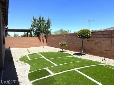 2828 Aragon Terrace Way, Henderson, NV 89044 Yard
