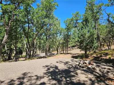 495 West Lutherwood Road Yard