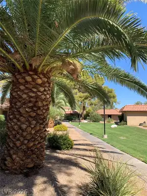 1897 Avacado Court, Henderson, NV 89014 Yard