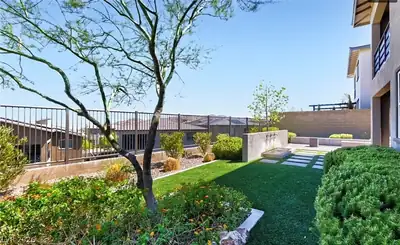 12343 Grey Dunes Avenue, Las Vegas, NV 89138 Yard