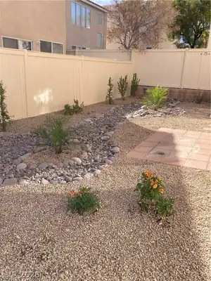 9519 Milkweed Canyon Avenue Yard