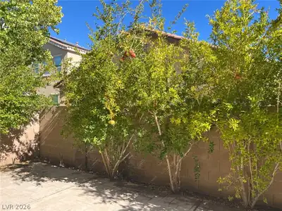 92 Honors Course Drive, Las Vegas, NV 89148 Yard