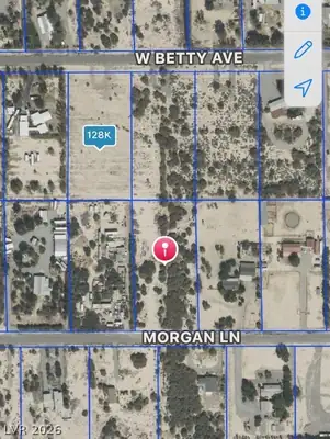 1270 West Morgan Lane, Pahrump