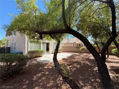 10319 Splendor Ridge Avenue, Las Vegas, NV 89135 Yard