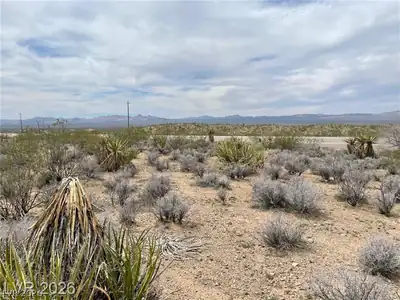 US 95 Searchlight, NV 89046