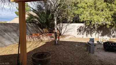606 Lively Fiesta Way Yard