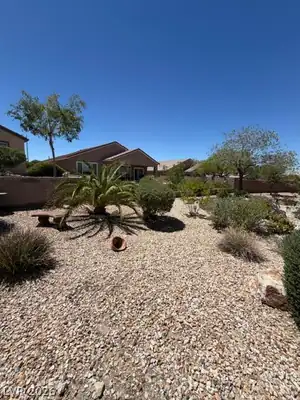 2509 Jade Sky Street Yard