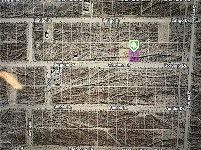 2880 Gorgono Drive, Pahrump, NV 89060 Map