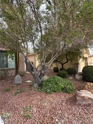 4112 GLIDING GULLS Avenue, North Las Vegas, NV 89084 Garden