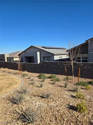 377 Aravalli Crest Street, Henderson, NV 89015 Yard