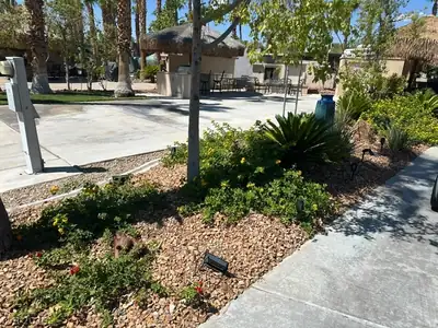 8175 Arville Street 145 Yard