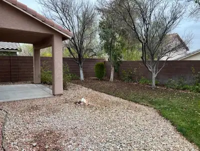 10529 Majestic Beauty Avenue Yard
