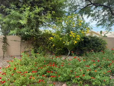 1513 Couples Street Community