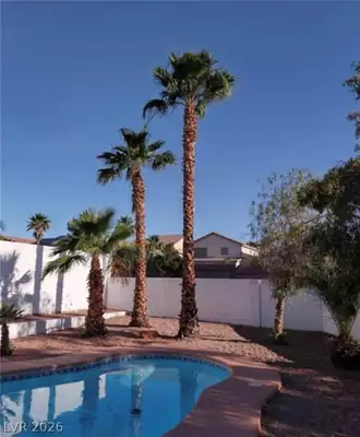 4856 Minturn Avenue Pool