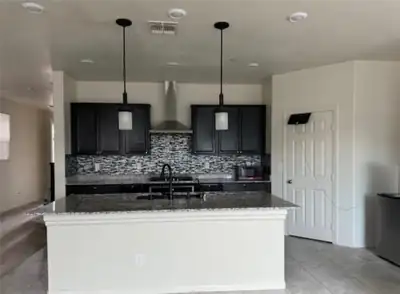 1630 Harvest Pecan Court Kitchen