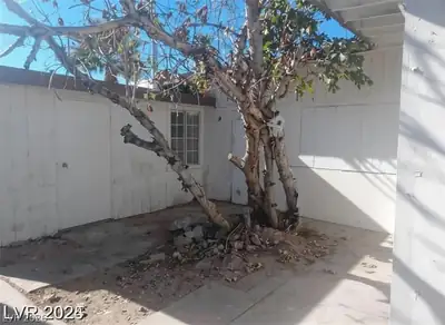 1317 Exley Avenue Courtyard