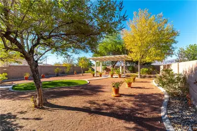1412 Danielle Rebecca Avenue, North Las Vegas, NV 89086 Yard
