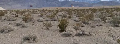 4331 South Excello Avenue Pahrump, NV 89048