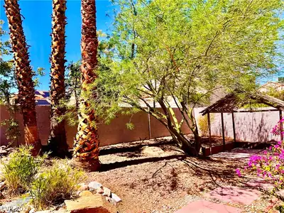 417 Cherry Meadows Court Yard