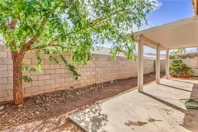 202 Twin Creek Street Yard