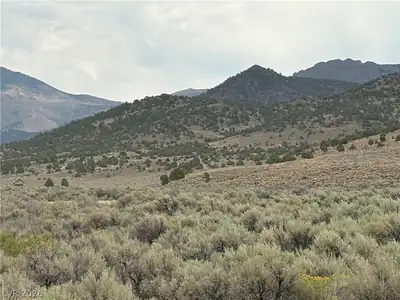 Mattier Creek Ely, NV 89301