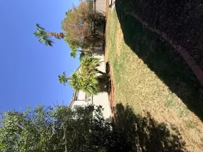 4440 Laguna Garden Avenue, North Las Vegas, NV 89115 Yard