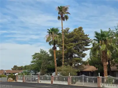 1590 Palomino Drive Front of Structure