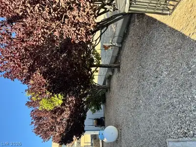 517 South Central Street Yard