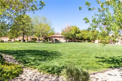 183 White Butte Street, Henderson, NV 89012 Yard