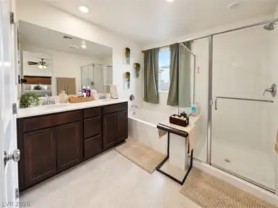 9717 Alpine Style Drive Primary Bathroom