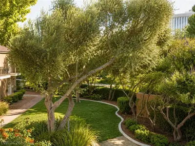 534 Tam O Shanter Yard