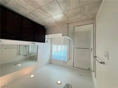 8211 Lantana Springs Street Primary Bathroom