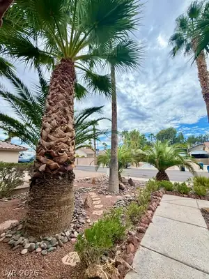 804 RANCHO COAST Way Yard