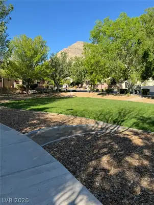 10581 Griffin Avenue Yard