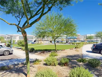541 Bellum Drive 1065 Yard